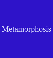 Metamorphosis